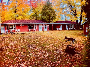 Maple Grove Motel place picture